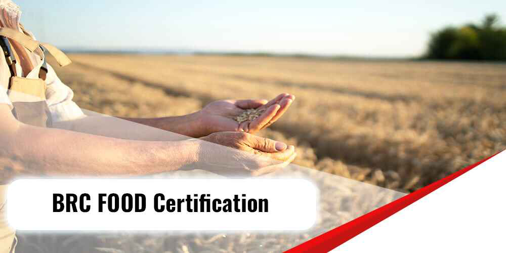 Learn about the required application process and audit steps to obtain the BRC Food certification. How can you adapt your food safety and quality management system to the BRC Food standard?






